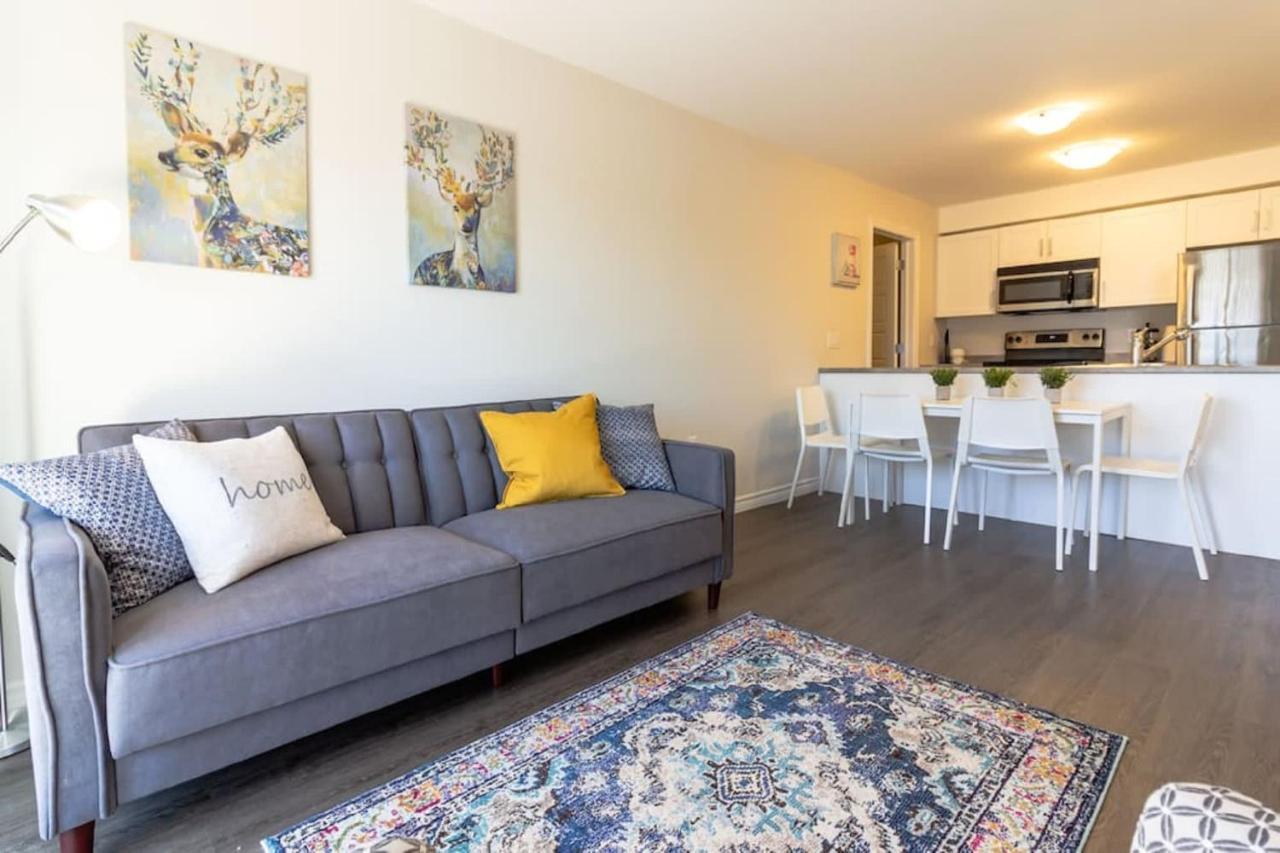 Newly Renovated Modern Condo Near Hospital, Unb Patio & Parking Coffee Saint John Exterior photo