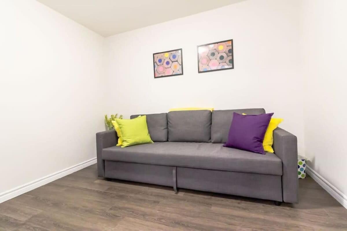 Newly Renovated Modern Condo Near Hospital, Unb Patio & Parking Coffee Saint John Exterior photo