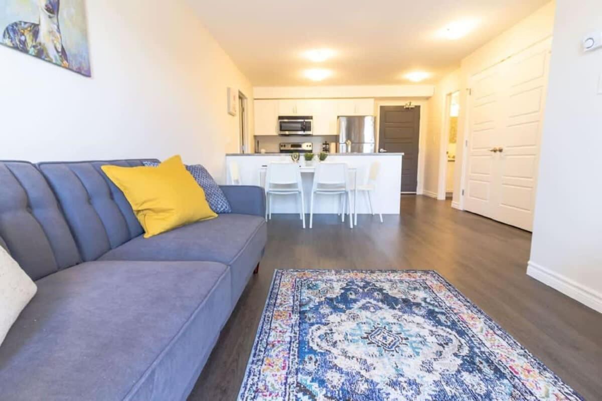 Newly Renovated Modern Condo Near Hospital, Unb Patio & Parking Coffee Saint John Exterior photo