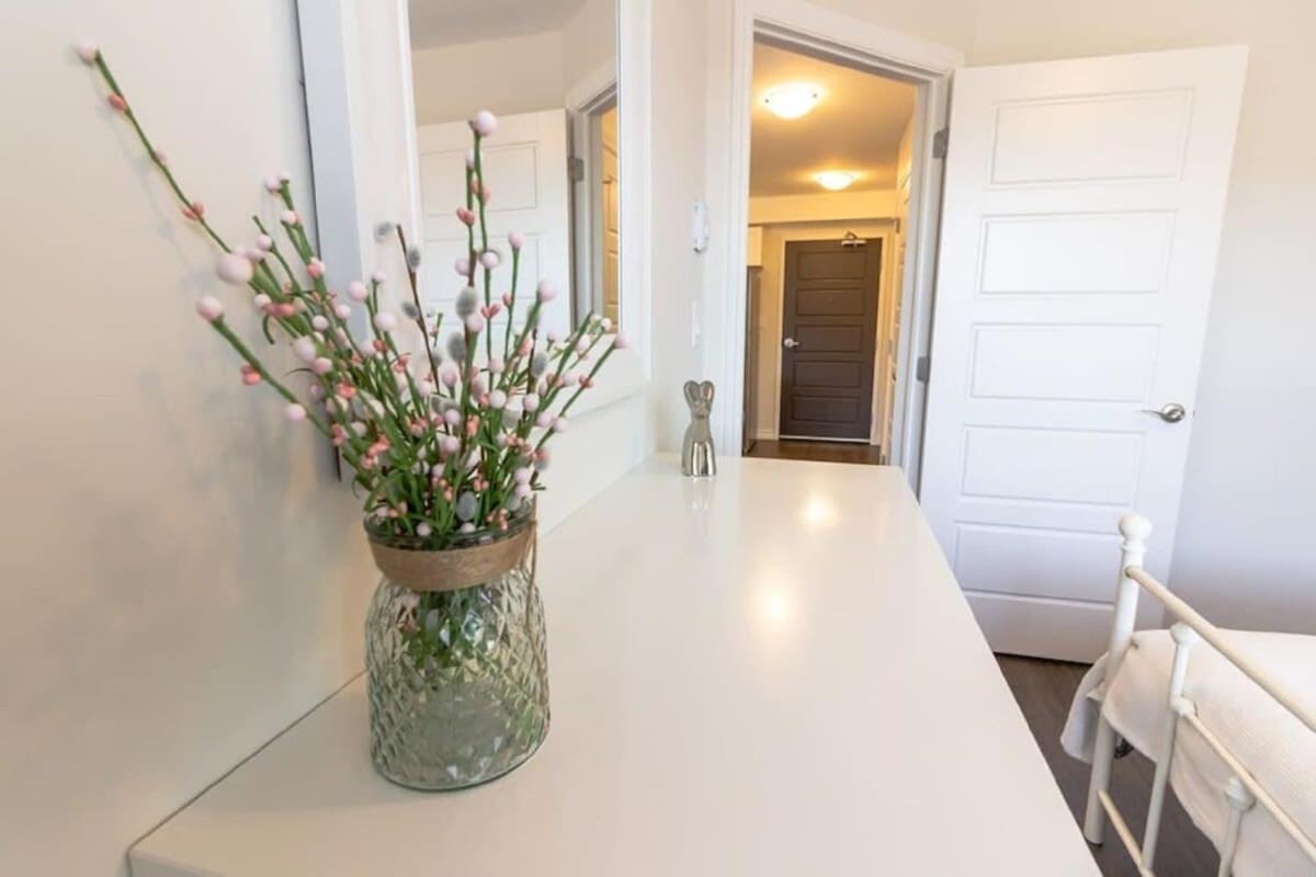 Newly Renovated Modern Condo Near Hospital, Unb Patio & Parking Coffee Saint John Exterior photo